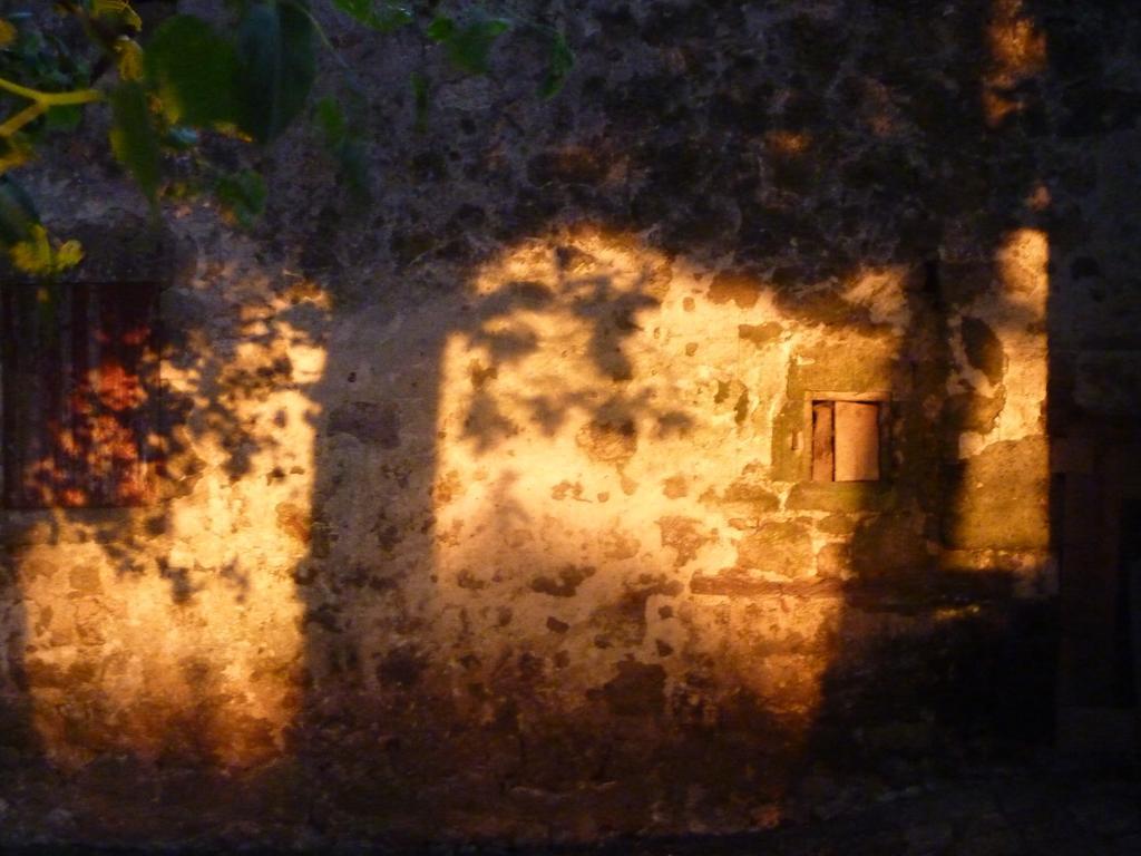 Au Bonheur D'Alphonse Bed & Breakfast Lusignan-Petit Bagian luar foto